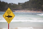 Drony będą szukać rekinów wzdłuż australijskich plaż z pomocą SI